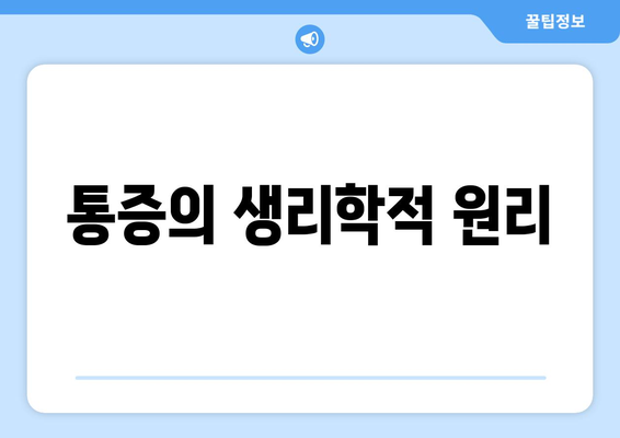 통증의 생리학적 원리