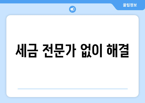 세금 전문가 없이 해결
