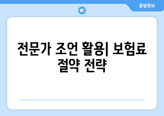 전문가 조언 활용| 보험료 절약 전략