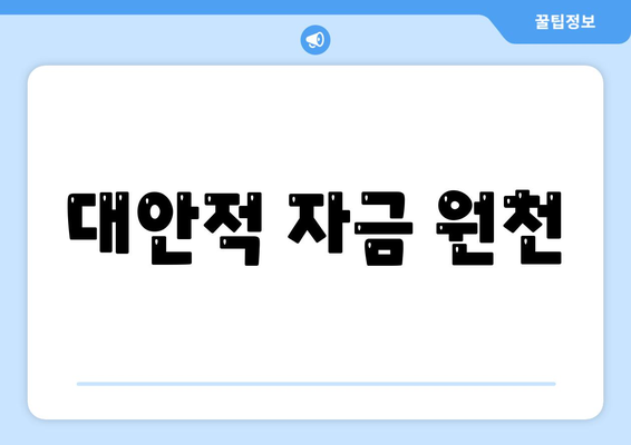 대안적 자금 원천