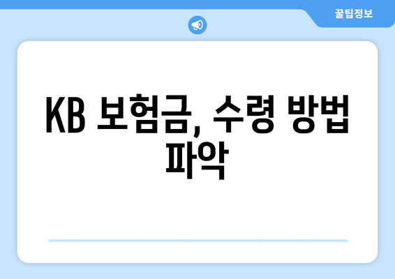 KB 보험금, 수령 방법 파악