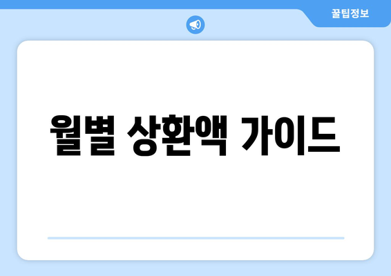 월별 상환액 가이드