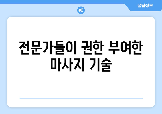 전문가들이 권한 부여한 마사지 기술