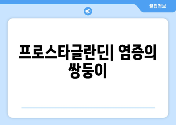 프로스타글란딘| 염증의 쌍둥이