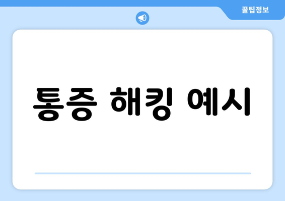 통증 해킹 예시