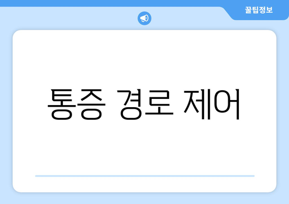 통증 경로 제어