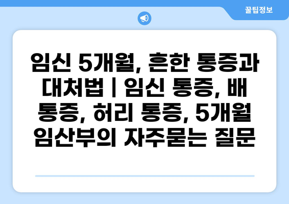 임신 5개월, 흔한 통증과 대처법 | 임신 통증, 배 통증, 허리 통증, 5개월 임산부