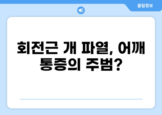 어깨 90도 통증, 원인과 해결 방안 | 어깨 통증, 회전근 개 파열, 견갑골, 굽은 어깨