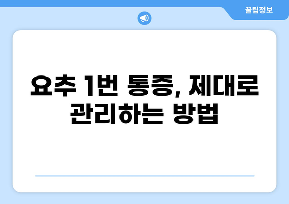 요추 1번 통증 원인과 해결책| 증상별 진단 및 관리 가이드 | 허리 통증, 요통, 척추 건강