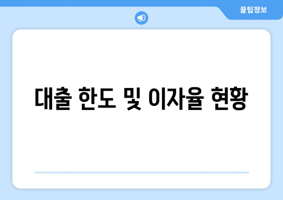 대출 한도 및 이자율 현황