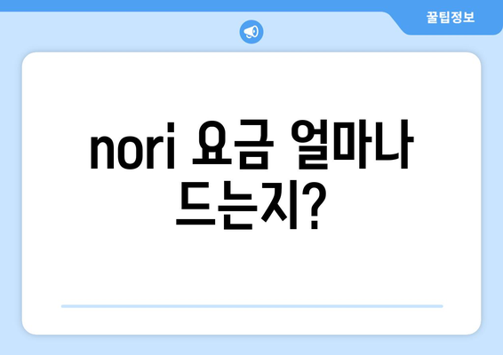 nori 요금 얼마나 드는지?