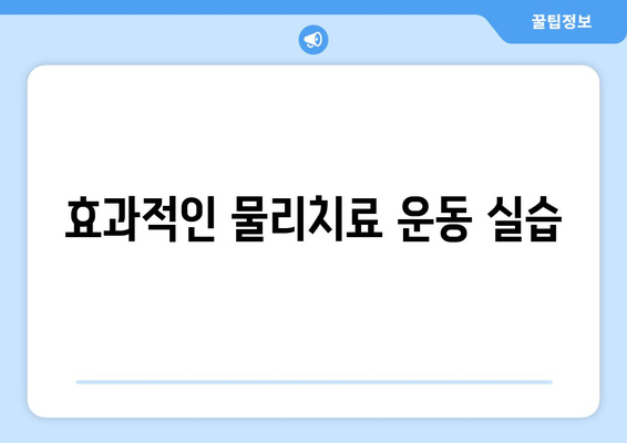효과적인 물리치료 운동 실습
