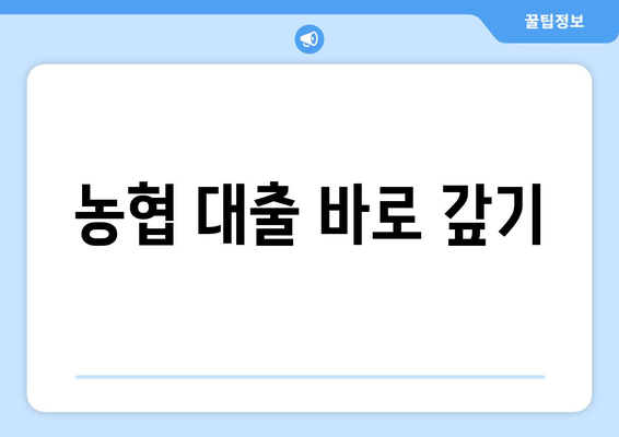 농협 대출 바로 갚기