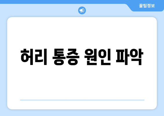 허리 통증 원인 파악