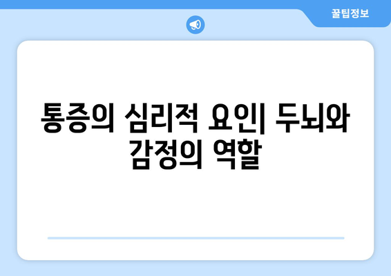 통증의 심리적 요인| 두뇌와 감정의 역할