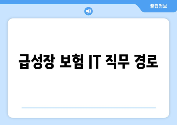 급성장 보험 IT 직무 경로