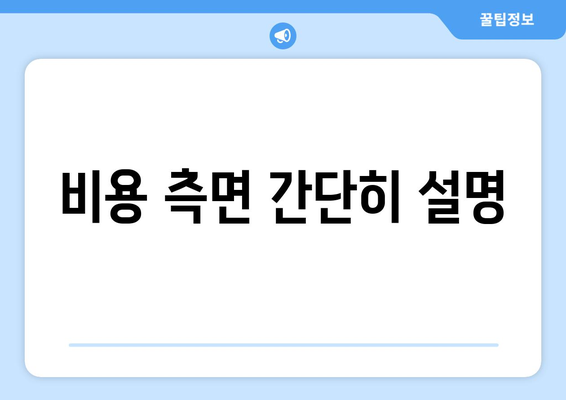 비용 측면 간단히 설명