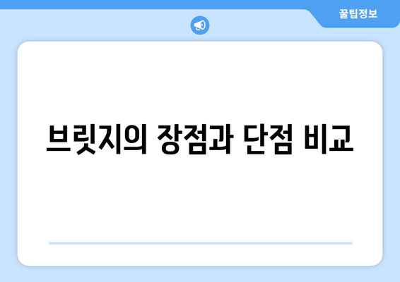 브릿지의 장점과 단점 비교