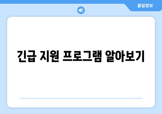 긴급 지원 프로그램 알아보기