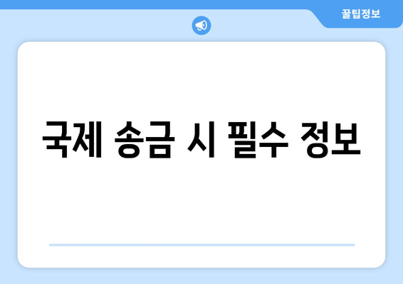 국제 송금 시 필수 정보