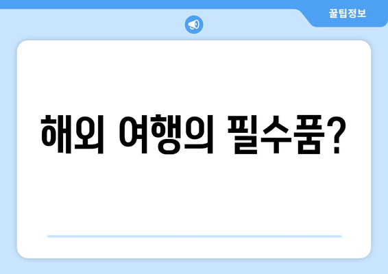 해외 여행의 필수품?