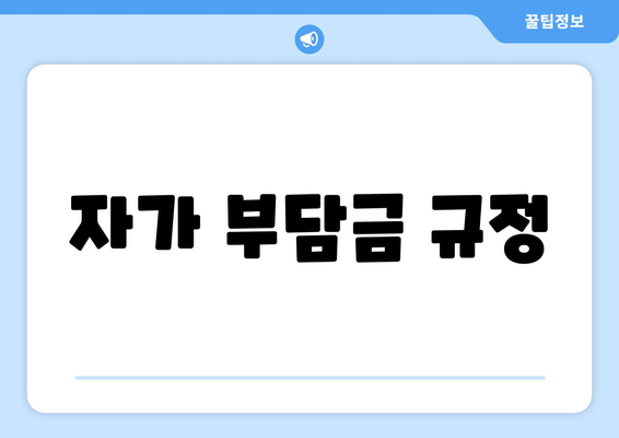 자가 부담금 규정