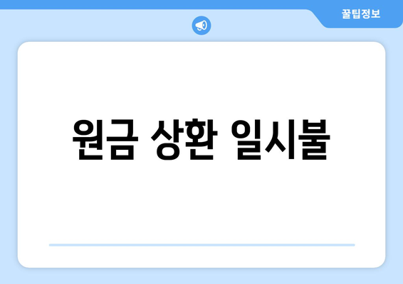 원금 상환 일시불