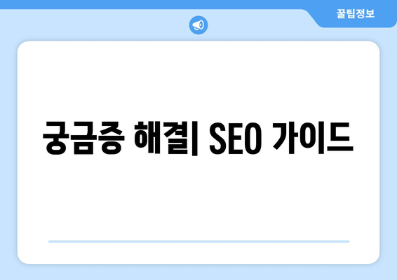 궁금증 해결| SEO 가이드