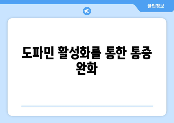 도파민 활성화를 통한 통증 완화