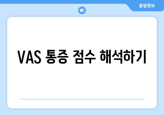 VAS 통증 점수 해석하기