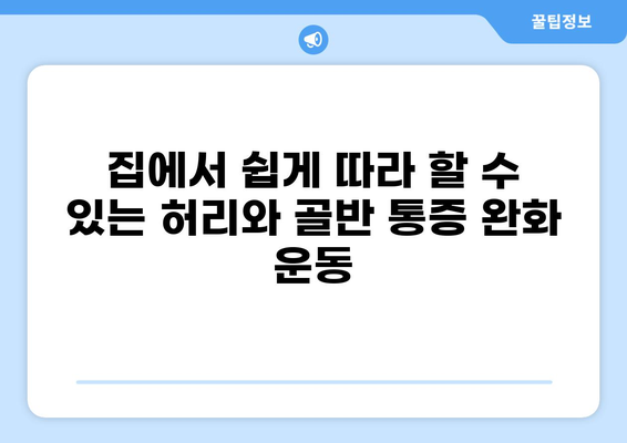 허리 골반 통증 완화를 위한 운동 가이드 | 허리 통증, 골반 통증, 스트레칭, 근력 운동