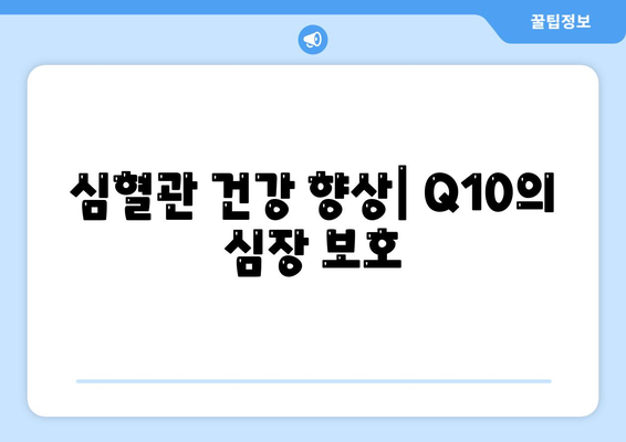 심혈관 건강 향상| Q10의 심장 보호