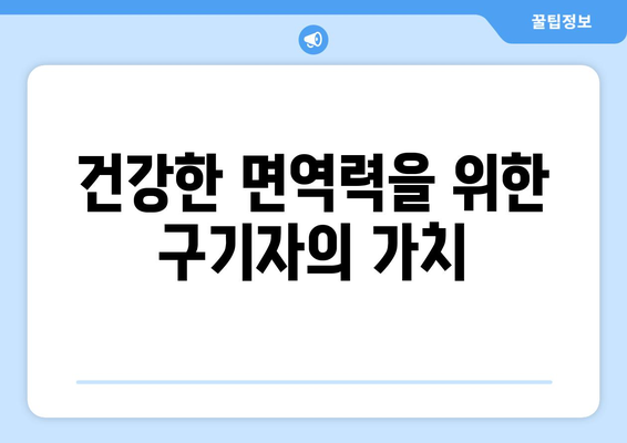 건강한 면역력을 위한 구기자의 가치