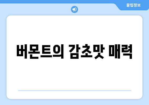 버몬트의 감초맛 매력