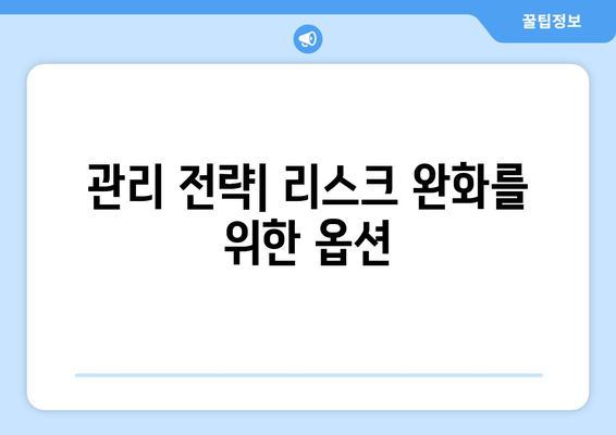 관리 전략| 리스크 완화를 위한 옵션