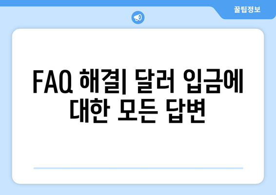 FAQ 해결| 달러 입금에 대한 모든 답변