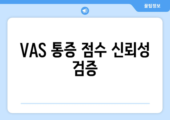 VAS 통증 점수 신뢰성 검증