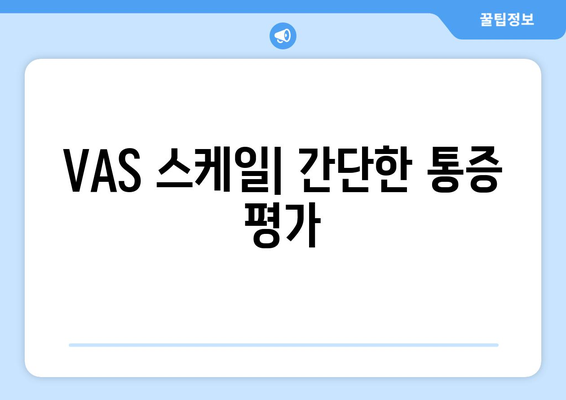 VAS 스케일| 간단한 통증 평가