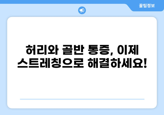허리 골반 통증 완화를 위한 운동 가이드 | 허리 통증, 골반 통증, 스트레칭, 근력 운동