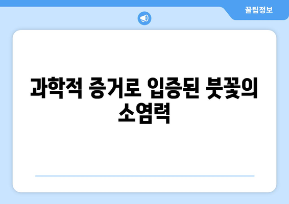 과학적 증거로 입증된 붓꽃의 소염력
