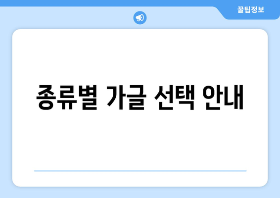 종류별 가글 선택 안내