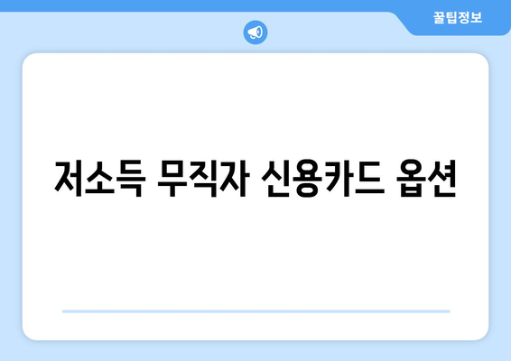 저소득 무직자 신용카드 옵션