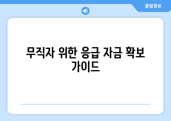 무직자 위한 응급 자금 확보 가이드