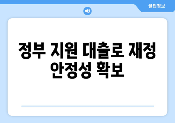 정부 지원 대출로 재정 안정성 확보