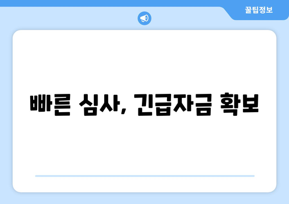 빠른 심사, 긴급자금 확보