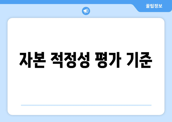 자본 적정성 평가 기준