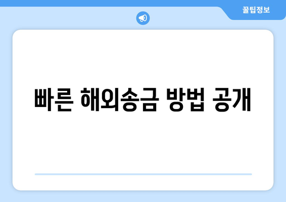 빠른 해외송금 방법 공개