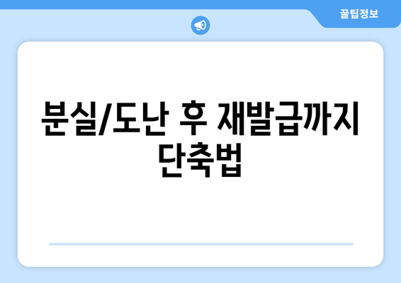 분실/도난 후 재발급까지 단축법