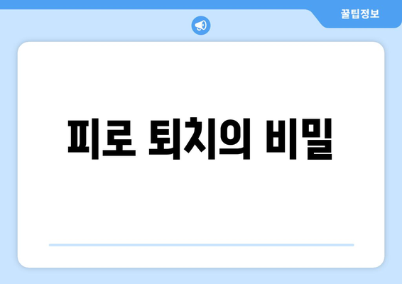 피로 퇴치의 비밀