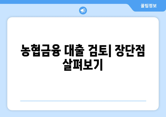 농협금융 대출 검토| 장단점 살펴보기